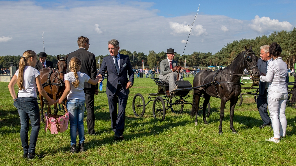 Lierop Fokpaardendag 2016 (26).jpg - Lierop Fokpaardendag 2016